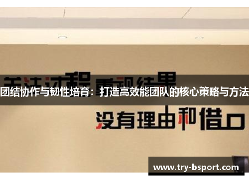 团结协作与韧性培育：打造高效能团队的核心策略与方法