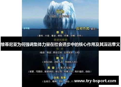 维蒂尼亚为何强调集体力量在社会进步中的核心作用及其深远意义