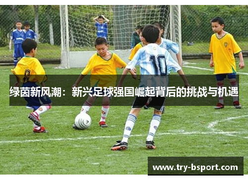 绿茵新风潮：新兴足球强国崛起背后的挑战与机遇