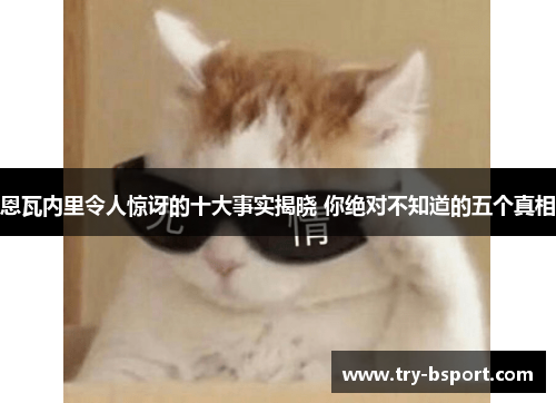 恩瓦内里令人惊讶的十大事实揭晓 你绝对不知道的五个真相 恩瓦内里令人惊讶的十大事实揭晓 你绝对不知道的五个真相