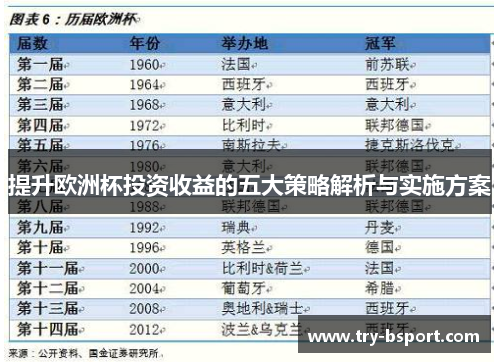 提升欧洲杯投资收益的五大策略解析与实施方案 提升欧洲杯投资收益的五大策略解析与实施方案