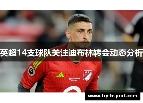 英超14支球队关注迪布林转会动态分析
